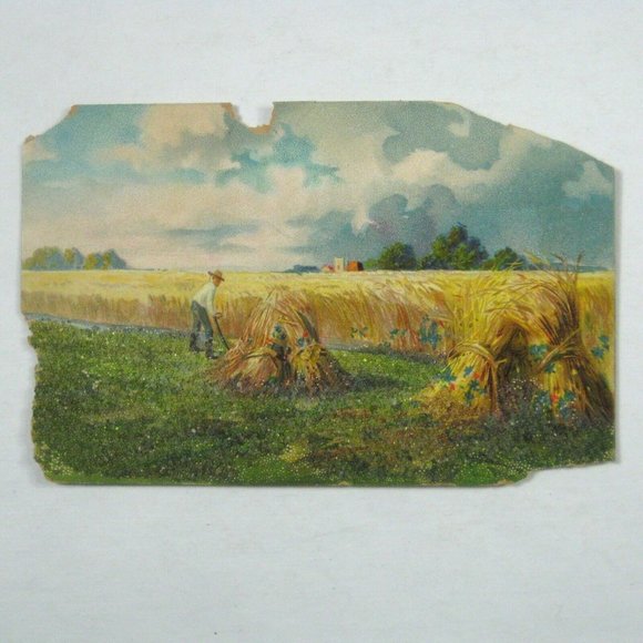 Benjamin Franklin 1 Cent Green US Stamp Postcard 1909 Tuck Harvesting Hay USED - Picture 3 of 5